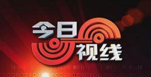 今日最新爆料热线,今日最新热点事件深度解析